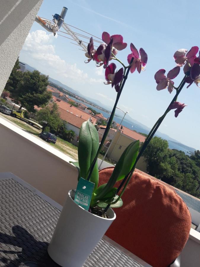 Apartments Dragicevic Vodice Buitenkant foto